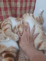 https://images.plurk.com/68d2mI5bhhiD3xb4Nyb0gB.jpg