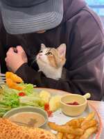 https://images.plurk.com/68iehtoGHOxPpDf3kWLgVx.jpg