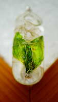 https://images.plurk.com/68onbhiroKo9d1PhgvzD3Q.jpg