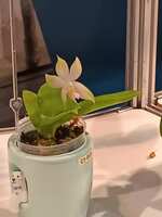 https://images.plurk.com/68qCjtw1uILEB93buIxAv4.jpg