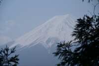 https://images.plurk.com/68uPa6GLtUwRhbCwxwZ6J6.jpg