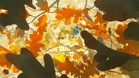 https://images.plurk.com/692FVOvZq9sgN5e11CNfPX.jpg
