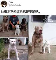 https://images.plurk.com/69CeOSRTjdtyiZs0rtRsqj.jpg