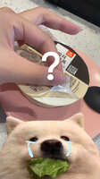 https://images.plurk.com/69T698sahnfuGCpnelfg8i.jpg