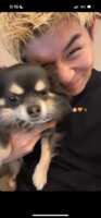 https://images.plurk.com/69Uit50yz6NIKbSefYZpmt.png