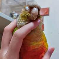 https://images.plurk.com/69WGREXxMTVizjXJmKYYAB.png