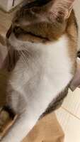 https://images.plurk.com/69XSuaARq6tEo3uvU2DHKI.jpg