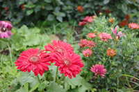https://images.plurk.com/69ZjTjsYurPu80YNVv6406.jpg