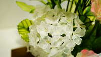 https://images.plurk.com/69hQhR5Yve5wUGl5HBFf7r.jpg