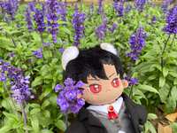 https://images.plurk.com/69kzcexwknAfTVpWhD567L.jpg