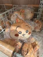 https://images.plurk.com/69nXgozdH0GeWdaOZyjuN0.jpg