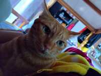 https://images.plurk.com/6A0nw9UpkMCNTQUvNGkoDB.jpg