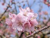 https://images.plurk.com/6A2g0lOpSCSmvt108wQjVE.jpg