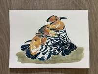 https://images.plurk.com/6A7XJJ9abWgSiZQb6lAuka.jpg