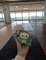 https://images.plurk.com/6ADmU19kEca4Wq8PVGuMoz.jpg