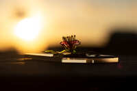 https://images.plurk.com/6AGSAgrmGXPylvYH5Rv7bD.jpg