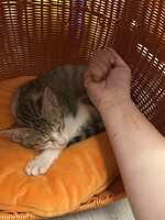 https://images.plurk.com/6AHP0Ob92LI78GTWncwzfH.jpg