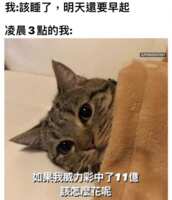 https://images.plurk.com/6ASKcdchR4Jv3kfh5VqckM.png