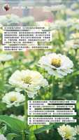 https://images.plurk.com/6AZv40p2ypmETb6JVP3Y6t.jpg