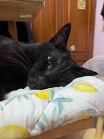 https://images.plurk.com/6AgNeMwLDc2z8USw1nhDdR.jpg