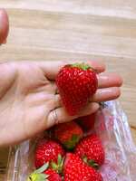 https://images.plurk.com/6AnFsgNjCfkmFS9xwHKwHo.jpg