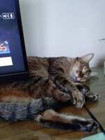 https://images.plurk.com/6Aofx6TZYmO3CdAaiudUXV.jpg