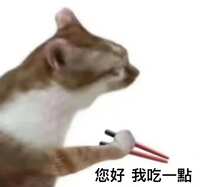 https://images.plurk.com/6AqXxGrJvsIHLAmHeIBWYN.jpg