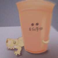 https://images.plurk.com/6B52PGnXllKm5x3ZlXUeCR.jpg