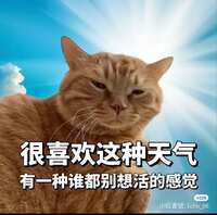 https://images.plurk.com/6B5TTyCahS5slZsSN0kYyd.jpg