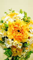 https://images.plurk.com/6B6HW4Yo7tmJWphgiD5Vsc.jpg