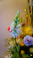 https://images.plurk.com/6BBrGsjkpuPO9F9u85BR2k.jpg