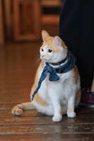 https://images.plurk.com/6BChBXbSqmUq70BQAprnQU.jpg