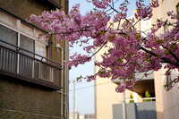 https://images.plurk.com/6BEb7Ktn99bu3gUPcJFxAi.jpg