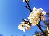 https://images.plurk.com/6BHCflJ4mirLirxNUX3m0e.jpg