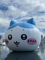 https://images.plurk.com/6BLXvjEpJX8MzgjlhPYCT2.jpg