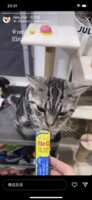 https://images.plurk.com/6BNAPGF0UQUSXOGh0VQ7pp.png
