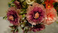 https://images.plurk.com/6BWW2ch580Mq8DBIZ4ft7F.jpg