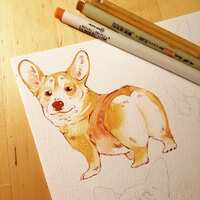 https://images.plurk.com/6BbzHNxCxtFYs8MPIcuk2x.jpg