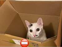 https://images.plurk.com/6Bh2MySEJaQ5qYuZ1s4yTf.jpg