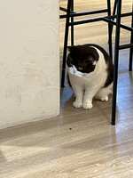 https://images.plurk.com/6BlczfTcqI3NgQgi5BbDXC.jpg