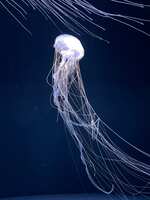 https://images.plurk.com/6BooN8weZY1tMDc0106lLD.jpg