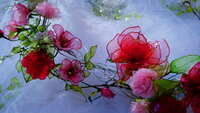 https://images.plurk.com/6BswLL9YrdKtIZELcyAG1y.jpg