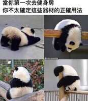 https://images.plurk.com/6BxaQYsYxBcCAQJGQir2PB.jpg