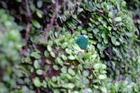 https://images.plurk.com/6C0ew8EW2Pv9UYJnJ9BvAq.jpg