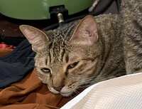 https://images.plurk.com/6C1WwQVRQ9n83b2SFb8FJj.jpg
