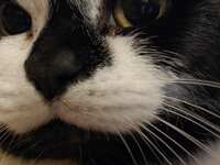https://images.plurk.com/6CD5ziBn6cD6iBN6XCNYG6.jpg
