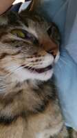 https://images.plurk.com/6CDPgrRltqmSjJEuijwlsF.jpg