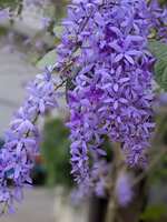 https://images.plurk.com/6CDdAHRc72bsfzMXr9S7di.jpg