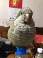 https://images.plurk.com/6CF1UqZjgsLxdYpWya7fzo.jpg