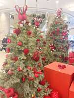 https://images.plurk.com/6CFb7Gm7w4dbYwqnjmpbBb.jpg